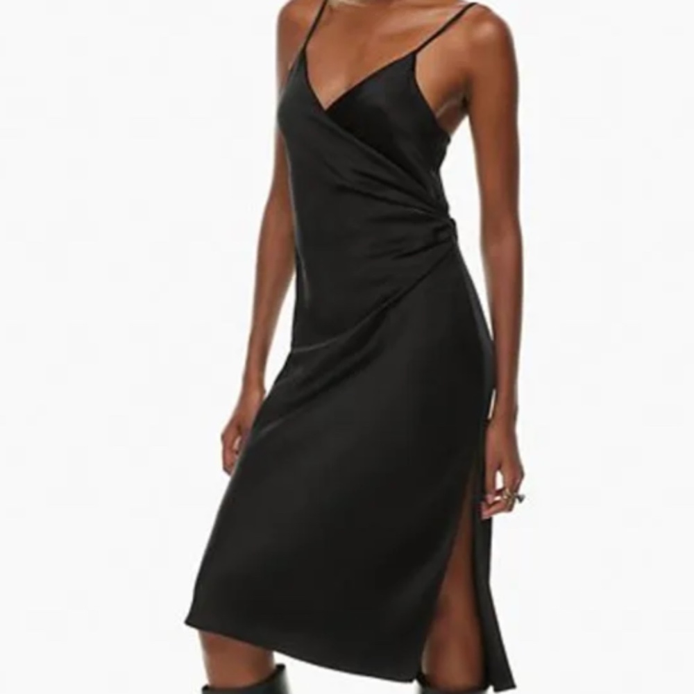 NWT Aritzia - Wilfred Scenery Dress